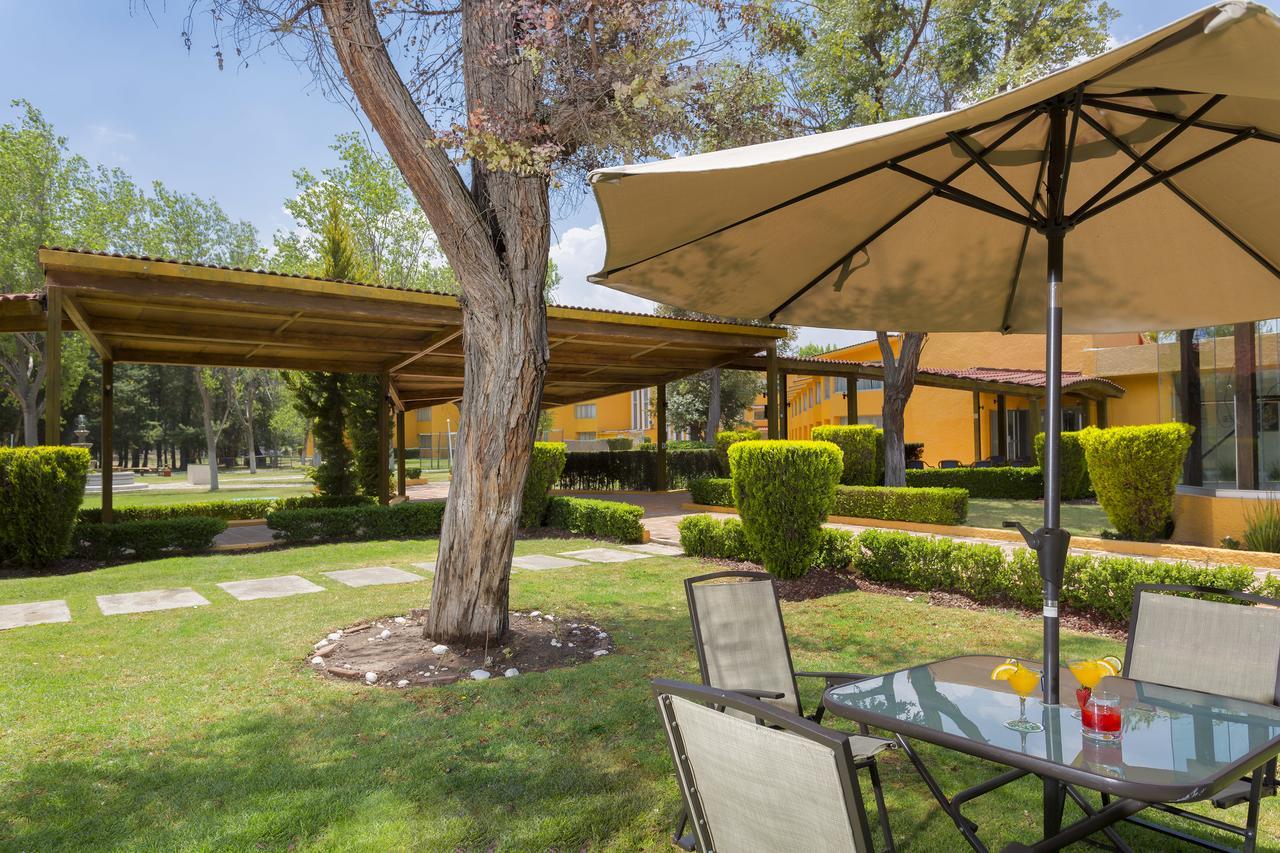 Gamma Pachuca Hotell Exteriör bild